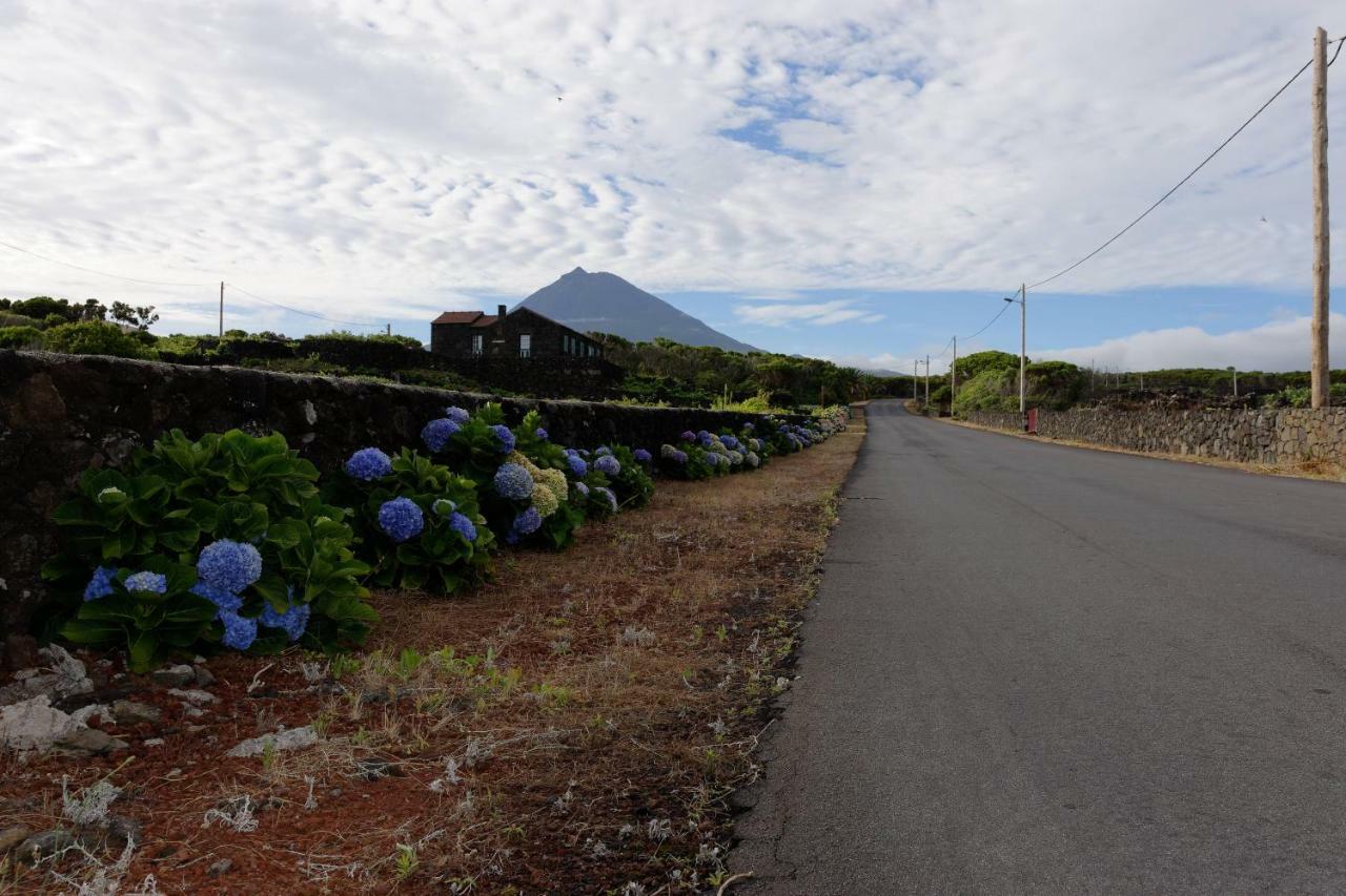 Vila Adega Mourato Bandeiras Exteriér fotografie